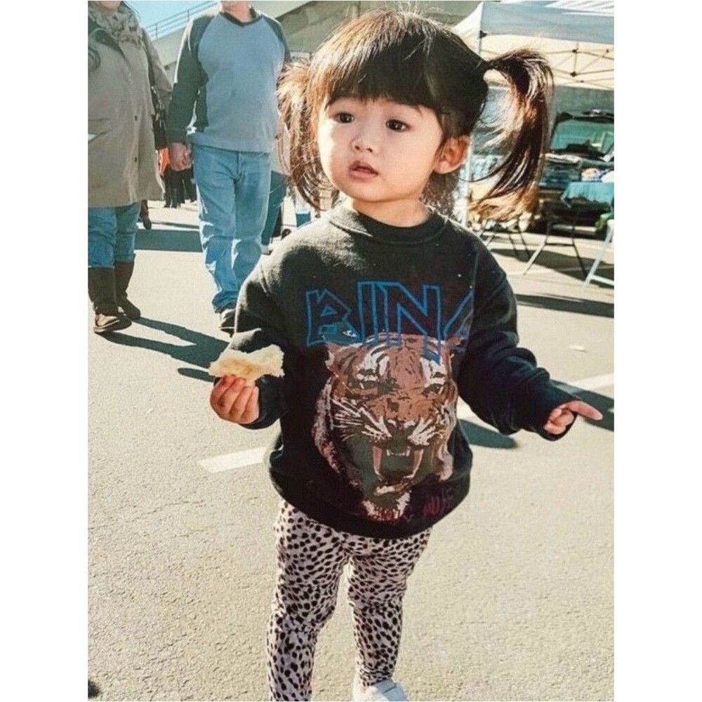 NWT Anine Bing Kids Tiger Graphic Sweatshirt Black Size 2-4 Muse Distressed